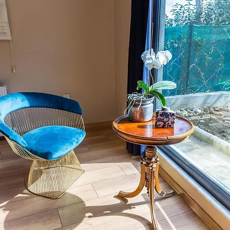 Peaceful Detached House With Garden In Besiktas