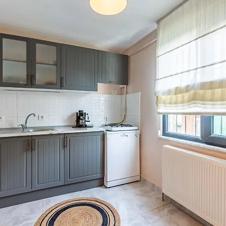 Peaceful Detached House With Garden In Besiktas *
