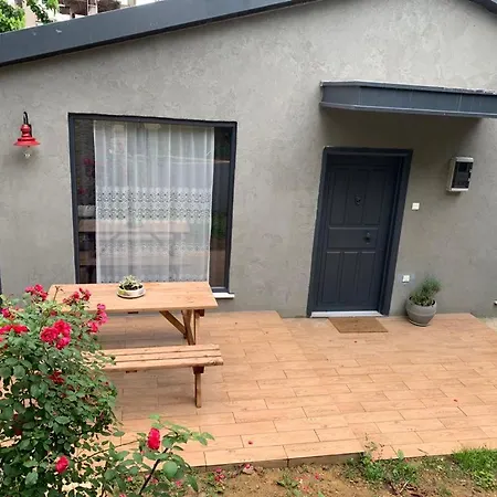 Peaceful Detached House With Garden In Besiktas Holiday home